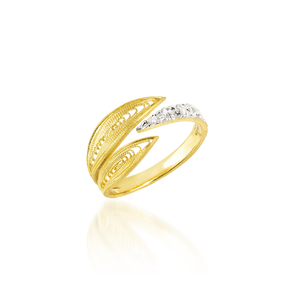 Anel Luísa Rosas Luz