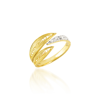 Anel Luísa Rosas Luz